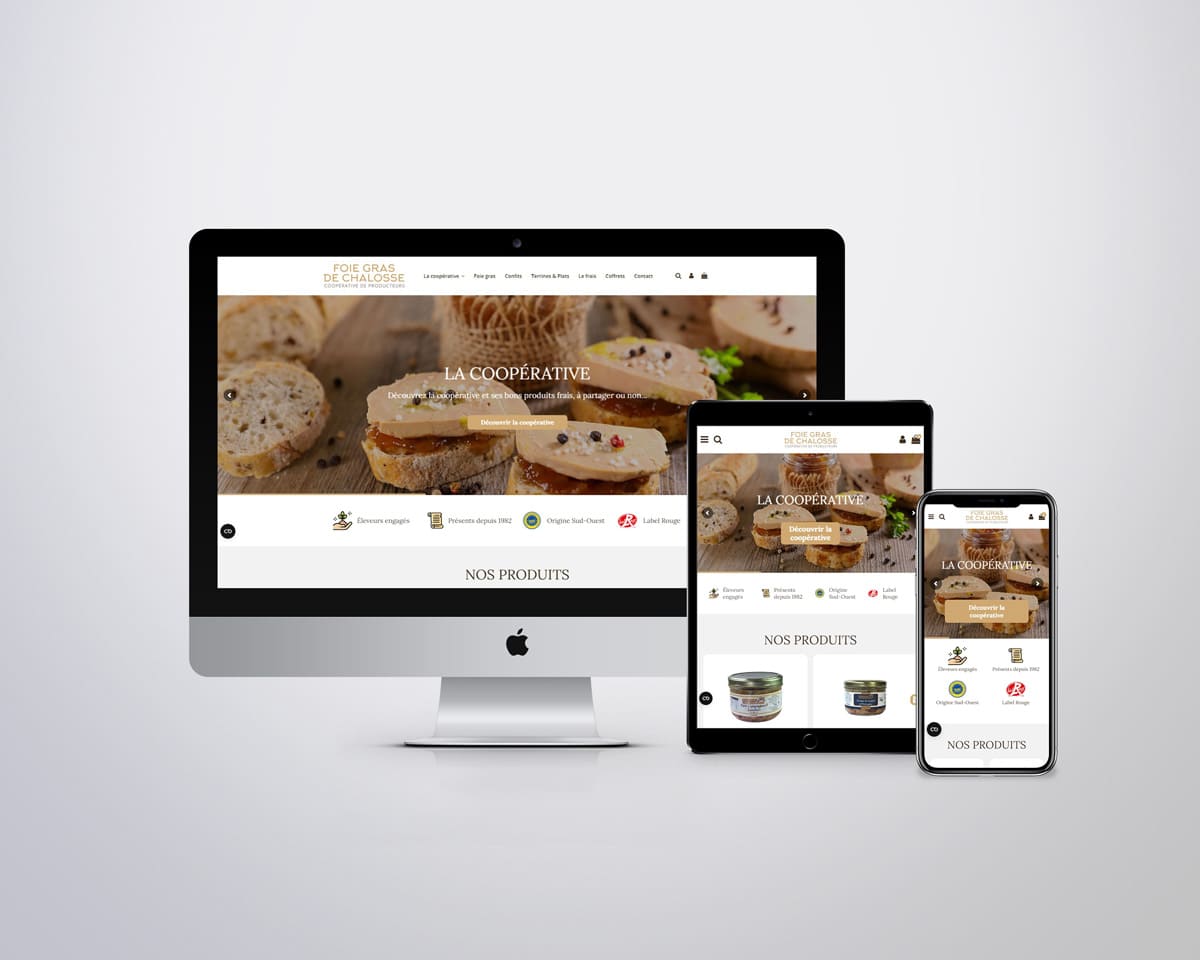 Création de site internet e-commerce